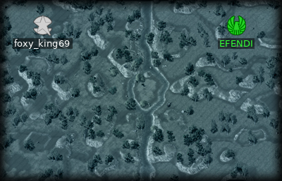 Minimap