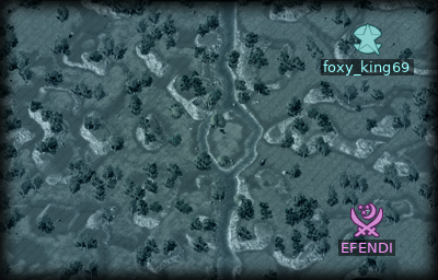 Minimap