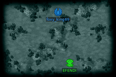 Minimap