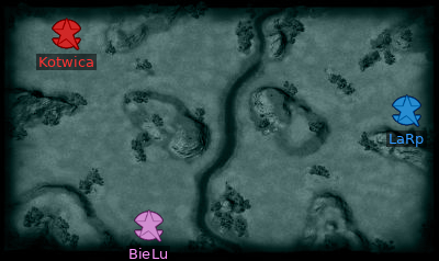 Minimap