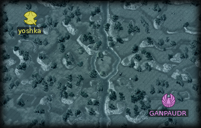 Minimap